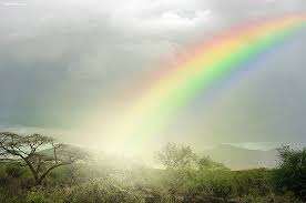 magic-rainbow